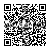 qrcode:https://mail.info241.com/mayila-louis-gaston-alias-politique-low-cost-on-t-avait-dit-d,373