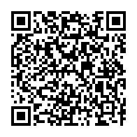 qrcode:https://mail.info241.com/immatriculation-de-navires-russes-au-gabon-les-clarifications-du,9095